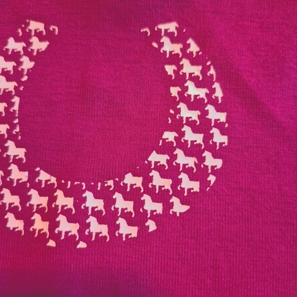 Lands' End girls size 6X raspberry pink long sleeve shirt with house in shoe - Picture 2 of 5